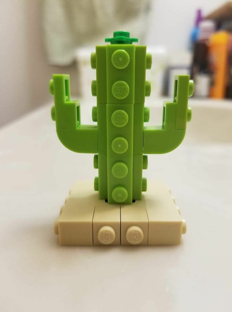 mega blok cactus